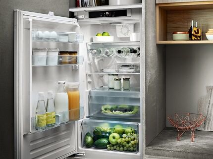 Compact refrigerator for the garden