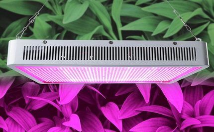 Ultraviolette lampen voor planten