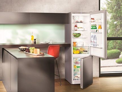 Liebherr refrigerator in the interior