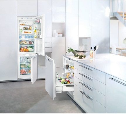 Variedade de refrigeradores domésticos 