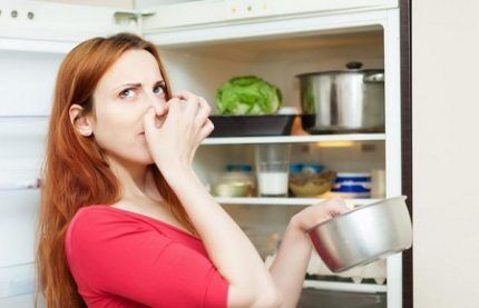 Unpleasant smell in the refrigerator
