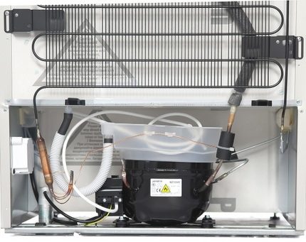 Refrigerator compressor