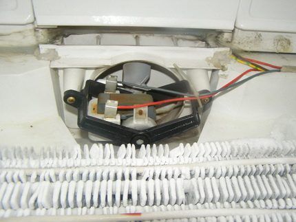 Ventilatore del frigorifero