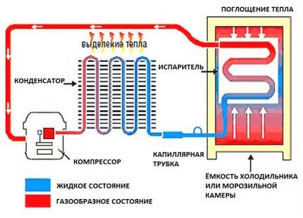 Schema di un frigorifero a compressore