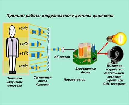 Cảm biến chuyển động hoạt động như thế nào