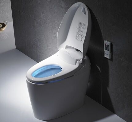 Floor-standing version of the electronic toilet
