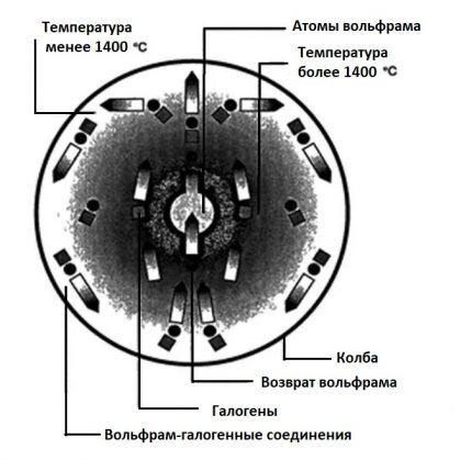 Diagram of the halogen-tungsten cycle