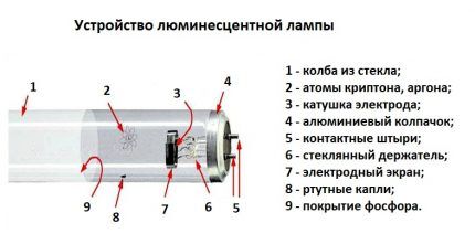 Fluorescent lamps