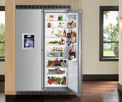 Refrigerator model with hinged doors