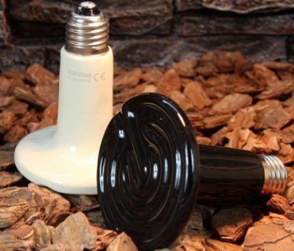 Ceramic infrared lamp