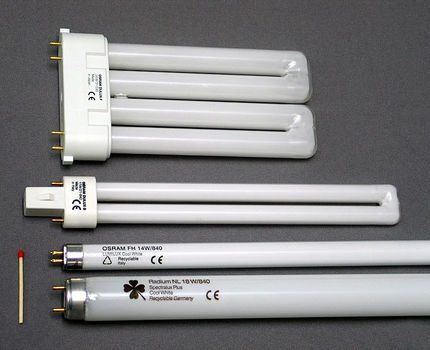 Fluorescent lamps of different shapes