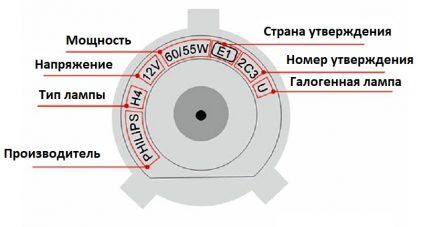 Sample marking on the base