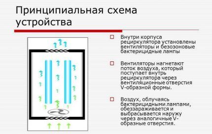 UV lamp