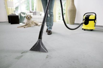 Vacuum cleaner removes traces from carpet