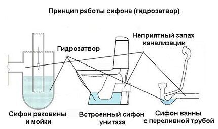 Principe de fonctionnement du siphon