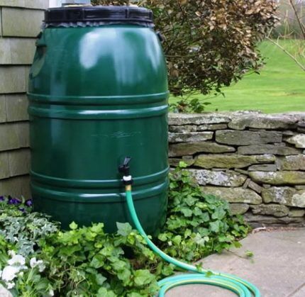Green water barrel in the garden