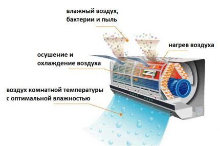 Drying system without cooling