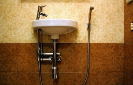 Wall-mounted hygienic shower