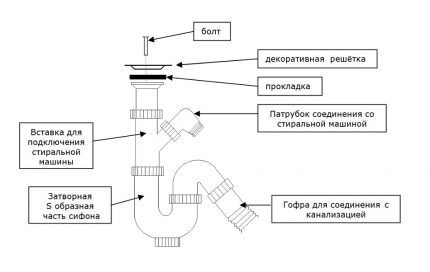 Vandens lelijos sifono surinkimo schema