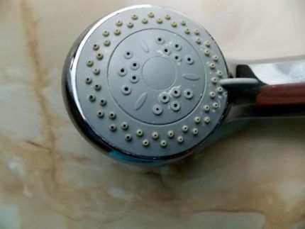 Possibility of repairing a shower head