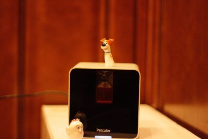 Petcube Interactive Camera device