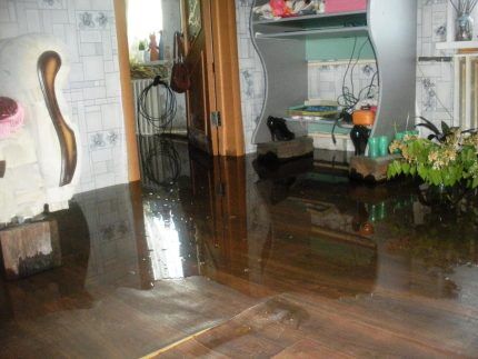 Flooding of an apartment from a clogged sewer