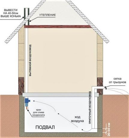 Pagraba ventilācijas shēma