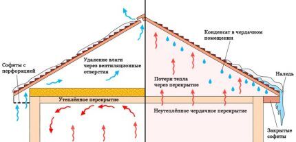 Ceiling insulation