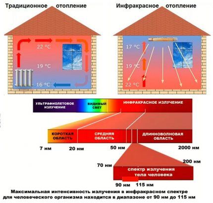 Differences between infrared and light radiation