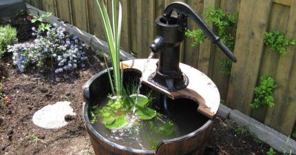 Mini pond with hand pump