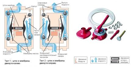Diagram of a manual diaphragm pump