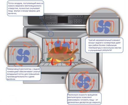 How does a convection oven work?