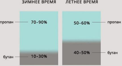 Gas proportions in summer and winter