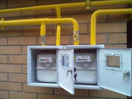 Gas meter 