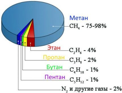 Gas composition in percentage