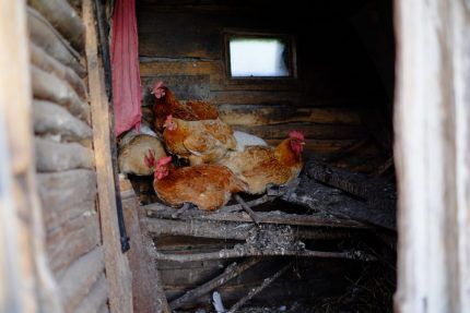 Ventilation naturelle