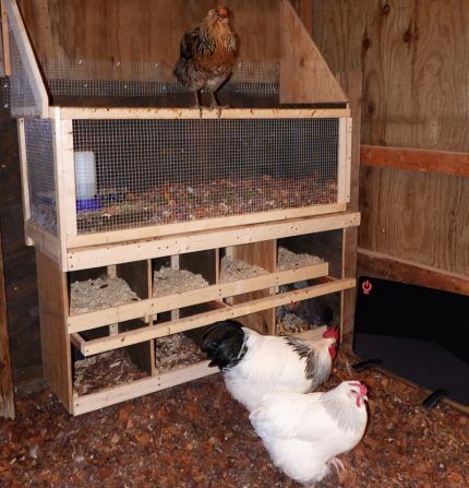 Ventilation in the chicken coop