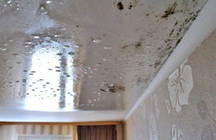 Mold on a suspended ceiling