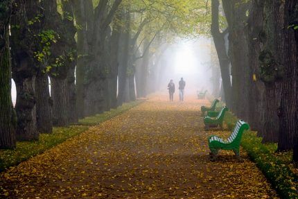 Walking after the rain 