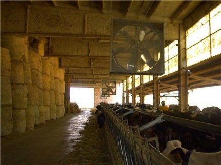 Working fan in a barn