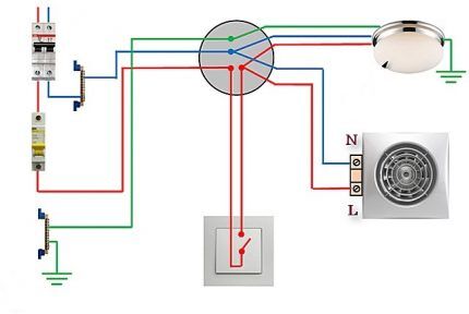 Connection diagram of a fan and a light bulb to a single-key switch