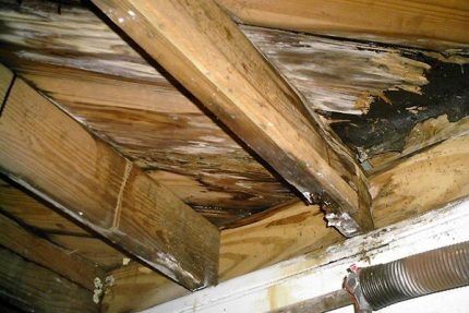 Rotting of rafters is the result of lack of quality ventilation
