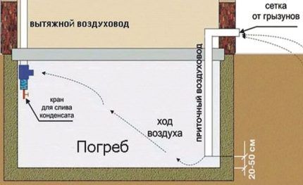 Schema di ventilazione del seminterrato