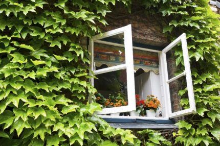 Ventilation naturelle par une fenêtre ouverte