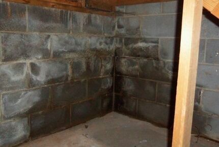 Black mold in corner of foundation