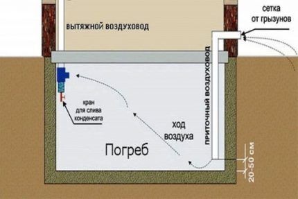 Air exchange in a vegetable pit