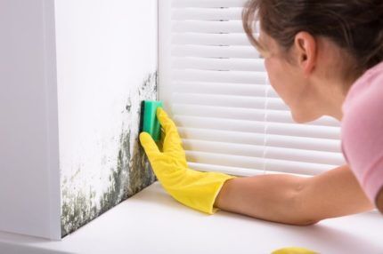 Removing mold from the wall