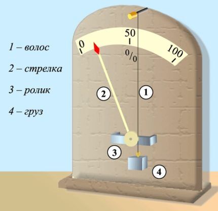 Hair hygrometer device