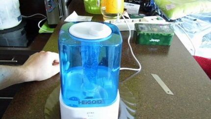 Visual na inspeksyon ng humidifier