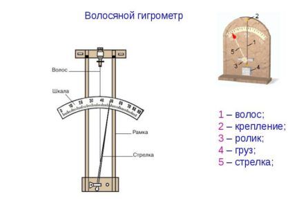 Hair hygrometer device